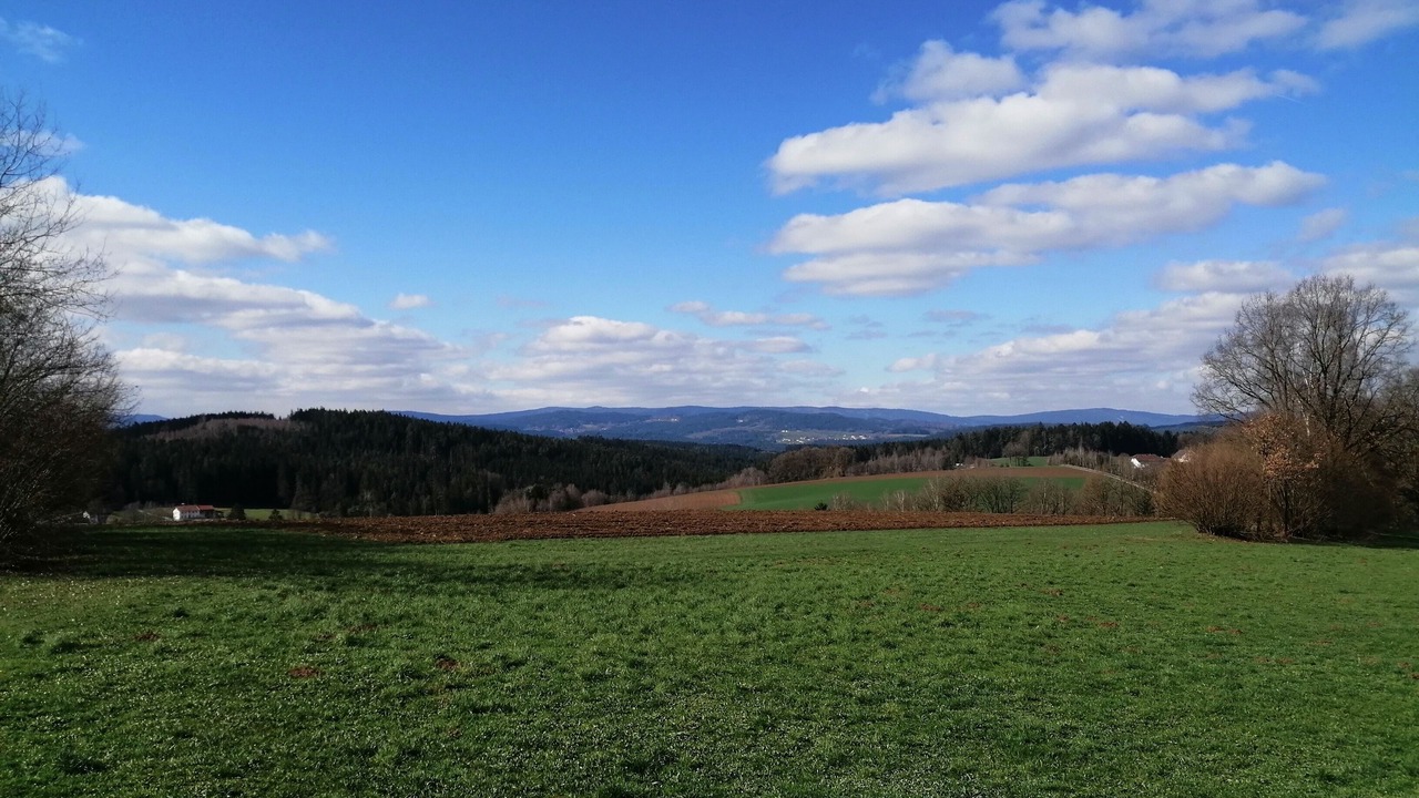 Photo of Outdoor in Bobrach