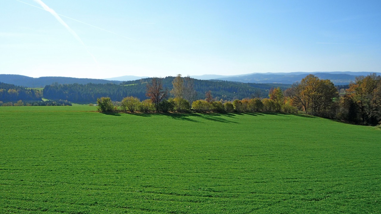 Photo of Others in Bobrach