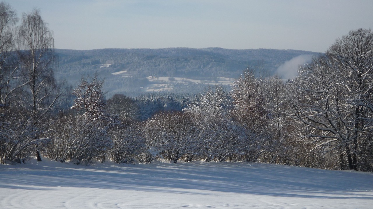 Photo of Others in Bobrach