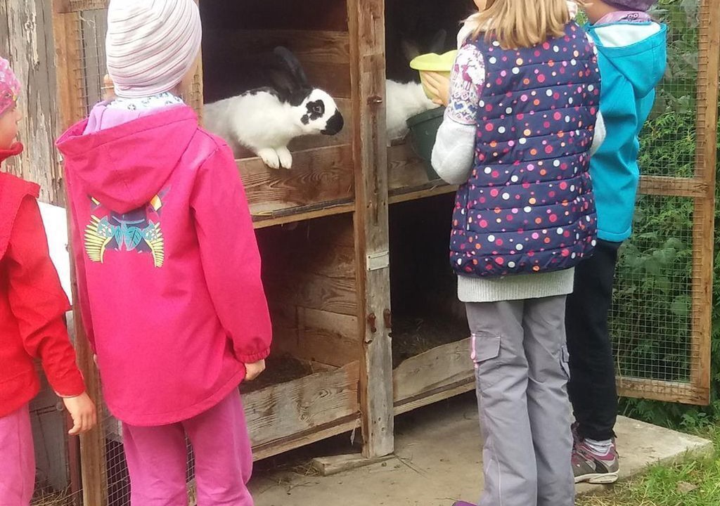 Photo of Others in Koenigstein