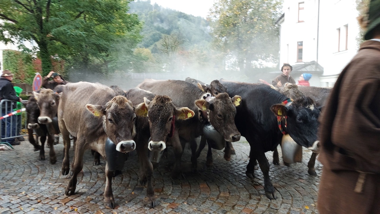 Photo of Others in Immenstadt im Allgaeu