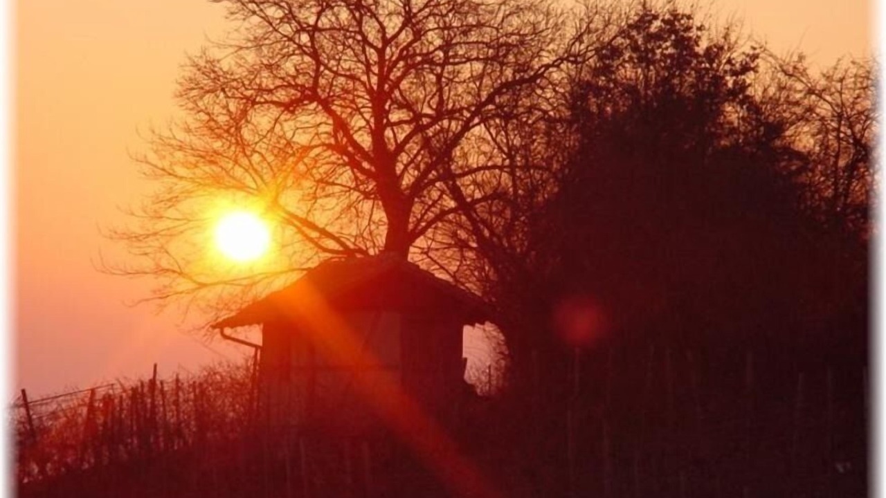 Photo of Outdoor in Michelau i. Steigerwald