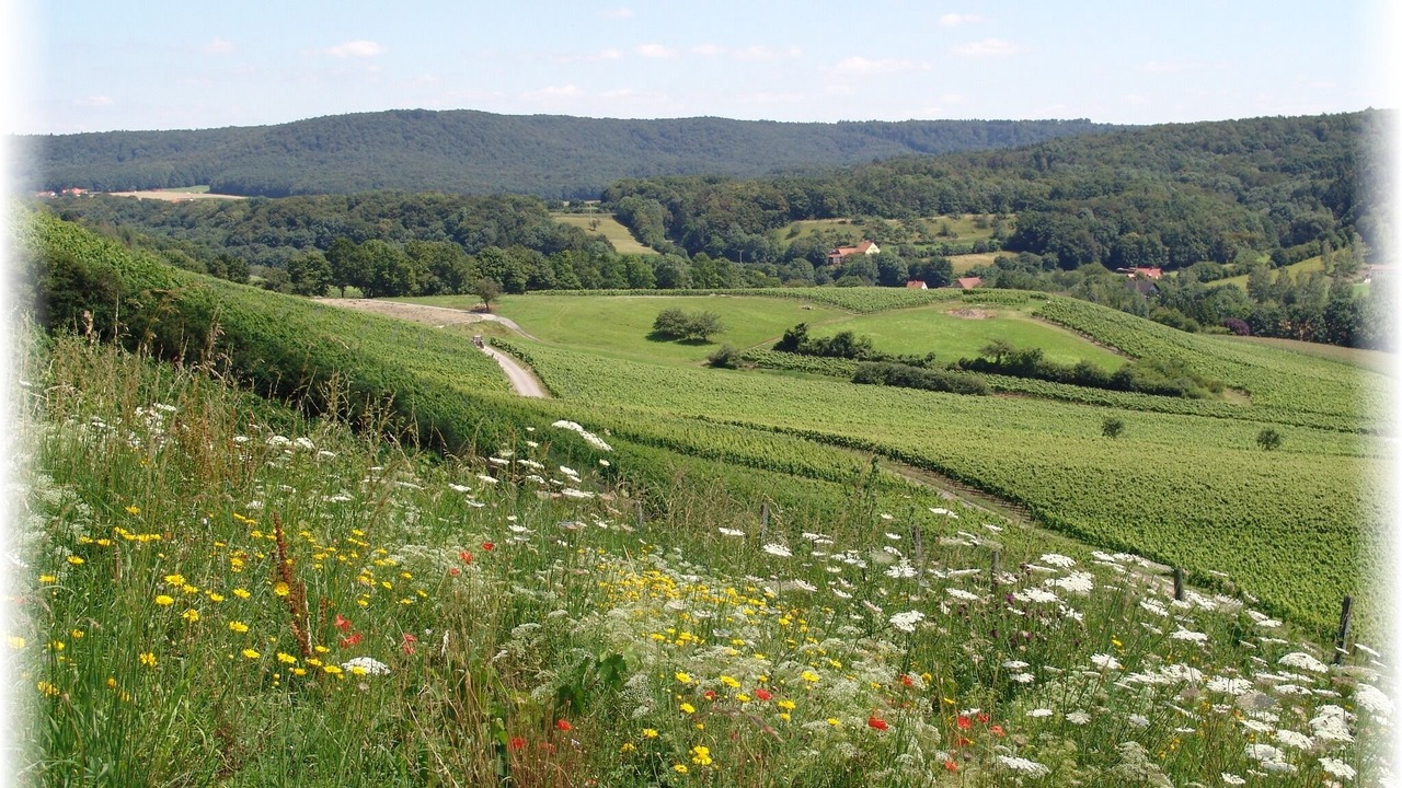 Photo of Outdoor in Michelau i. Steigerwald