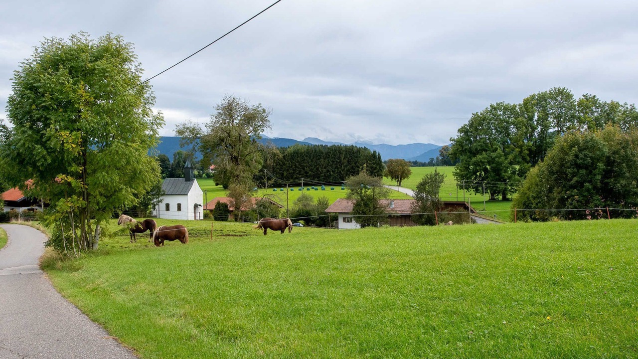 Photo of Others in Warngau