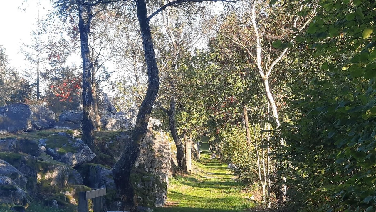 Photo of Outdoor in Prackenbach