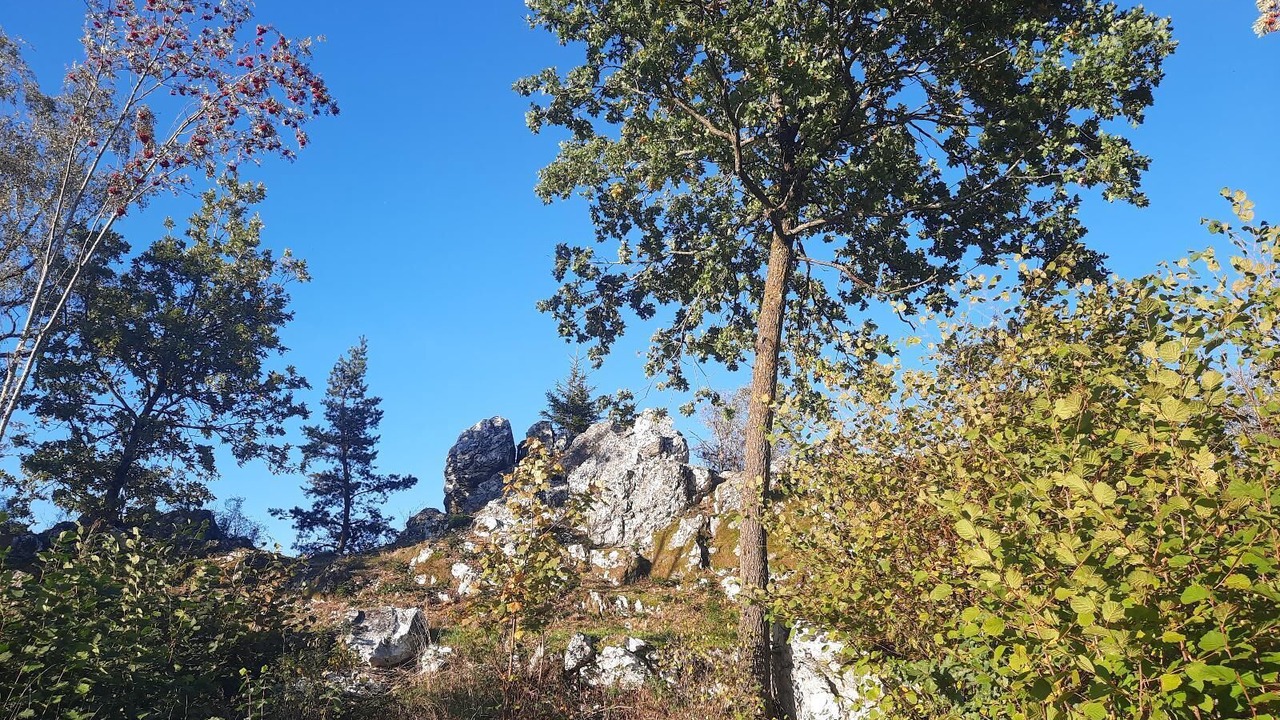 Photo of Others in Prackenbach