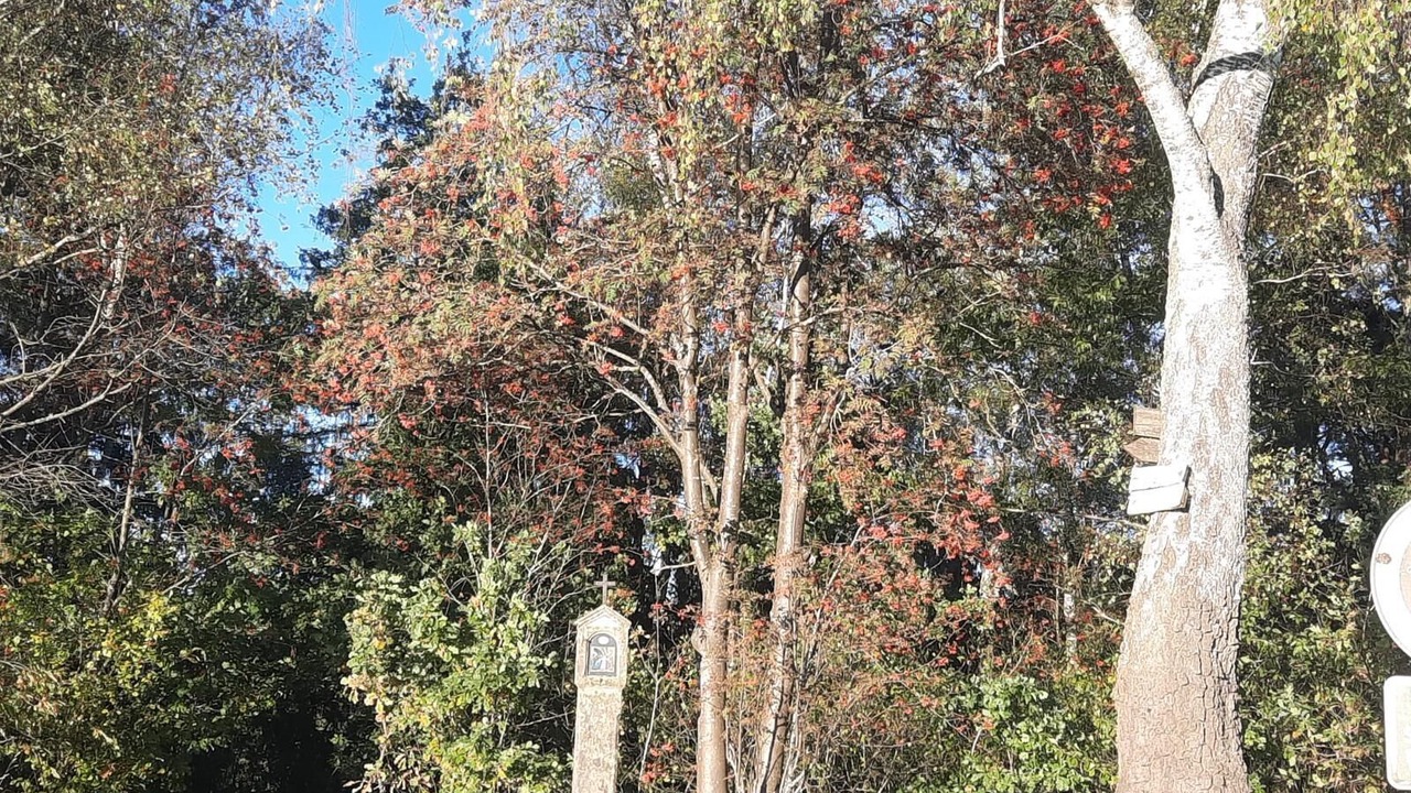 Photo of Others in Prackenbach