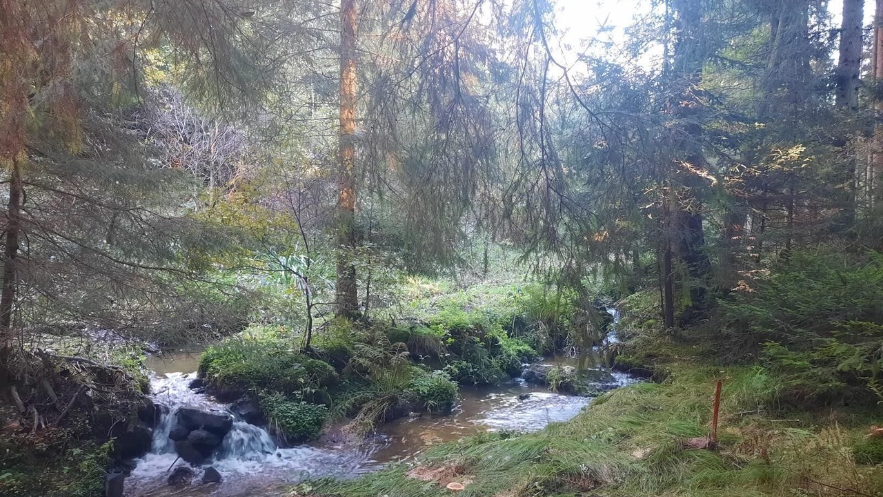 Photo of Outdoor in Prackenbach