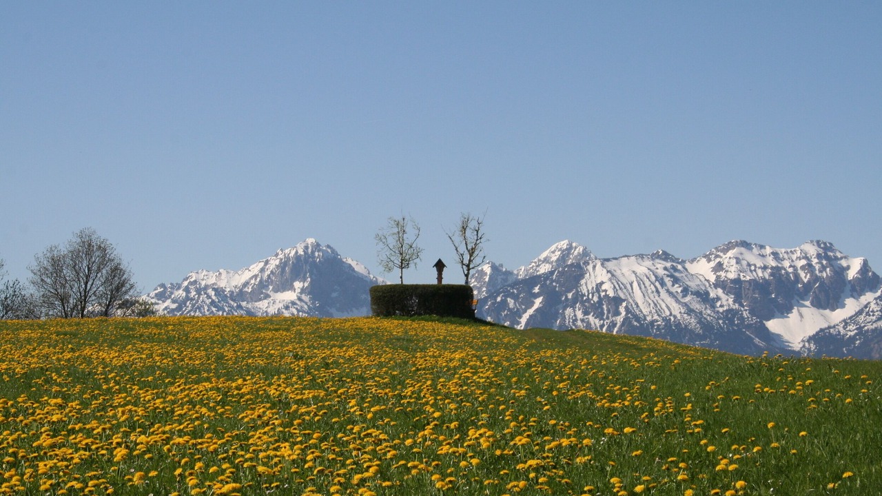 Photo of Others in Rieden am Forggensee