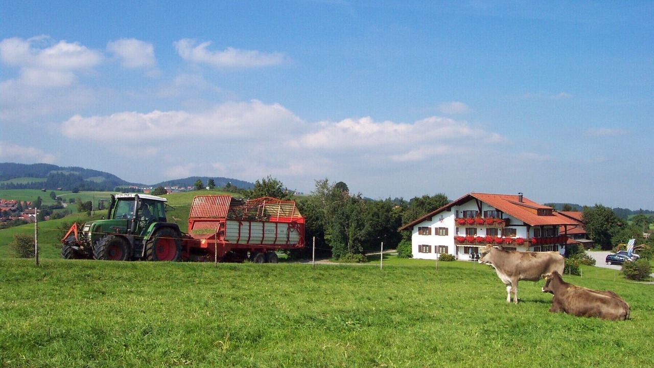 Photo of Others in Rieden am Forggensee