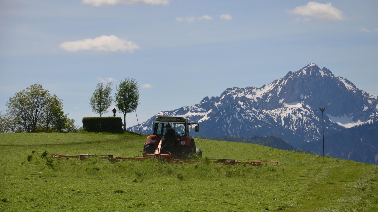 Photo of Outdoor in Rieden am Forggensee
