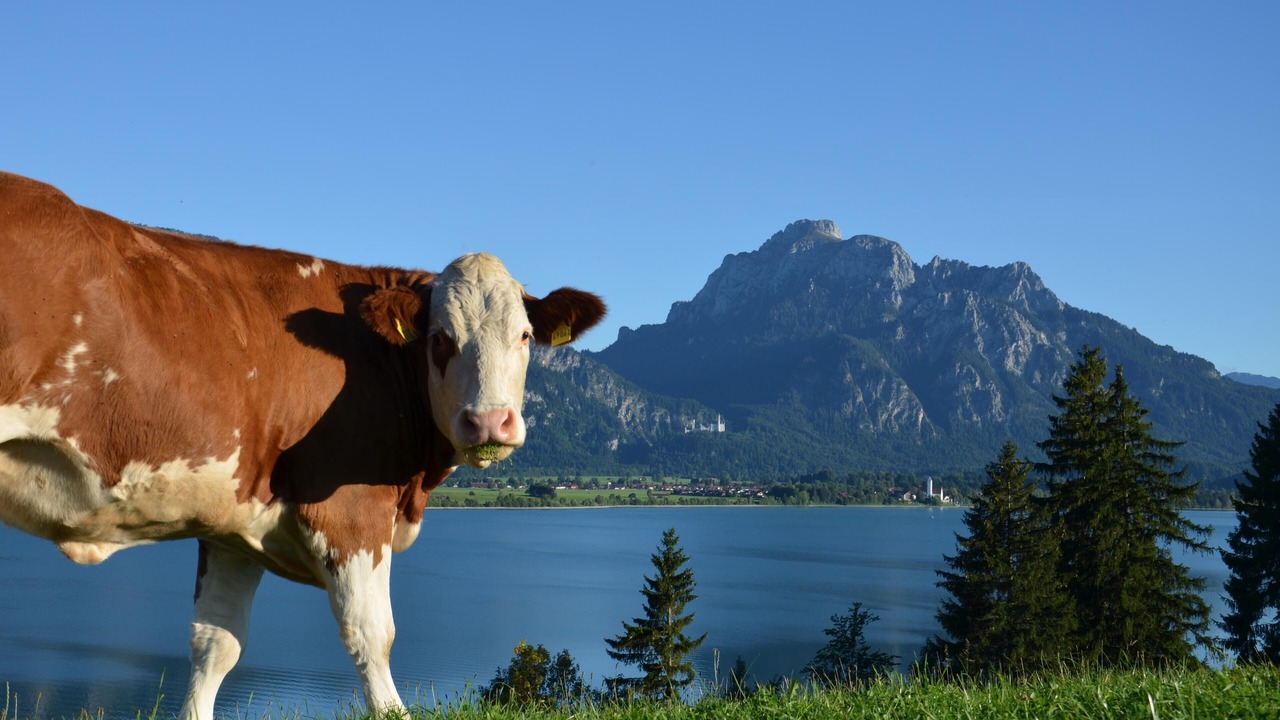 Photo of Outdoor in Rieden am Forggensee