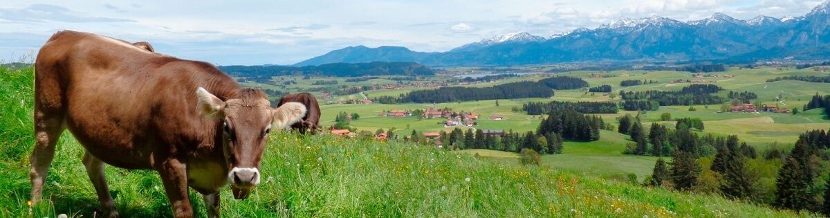 Photo of Outdoor in Schraden