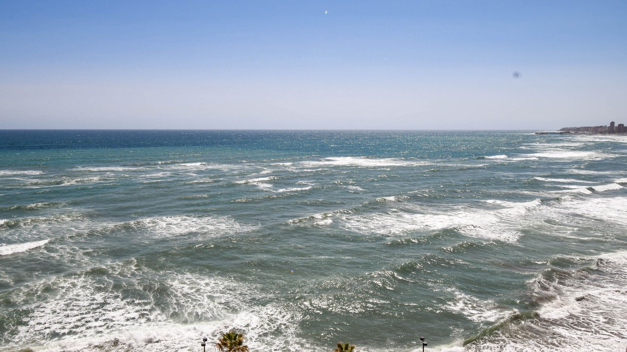 Photo of Others in Torreblanca