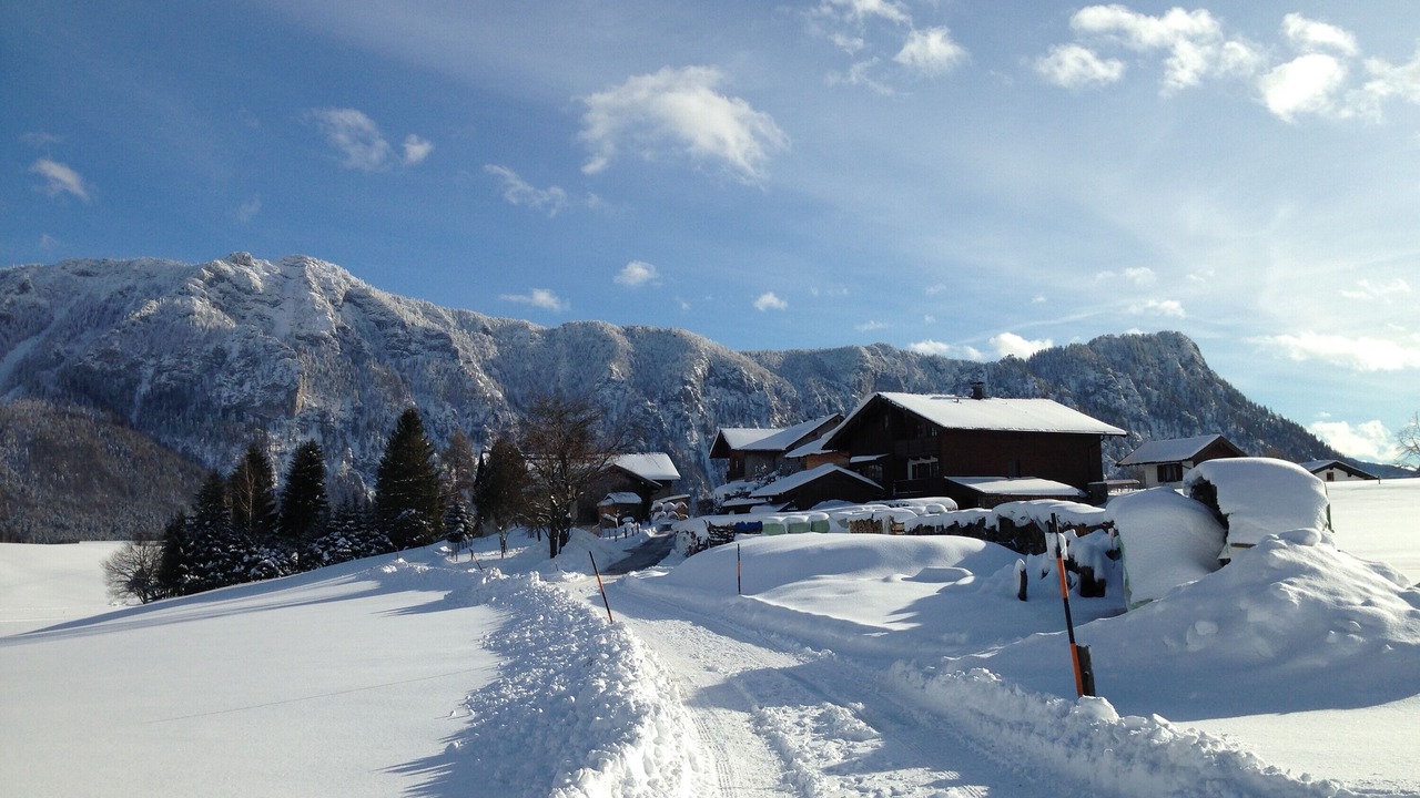 Photo of Others in Inzell