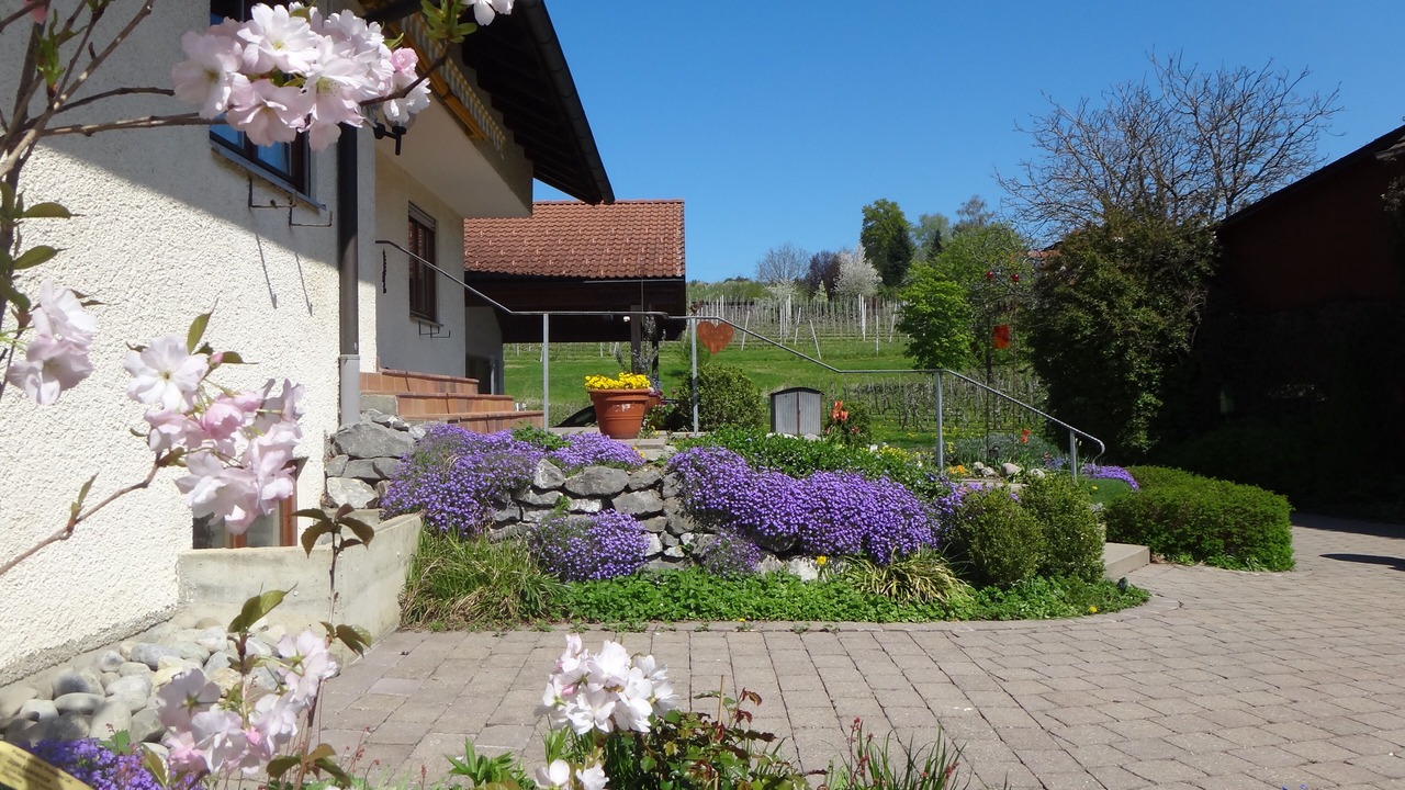 Photo of Outdoor in Motzach