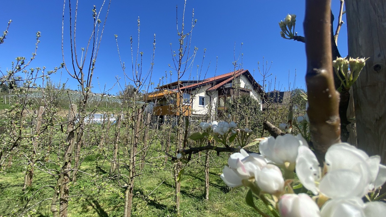 Photo of Outdoor in Motzach