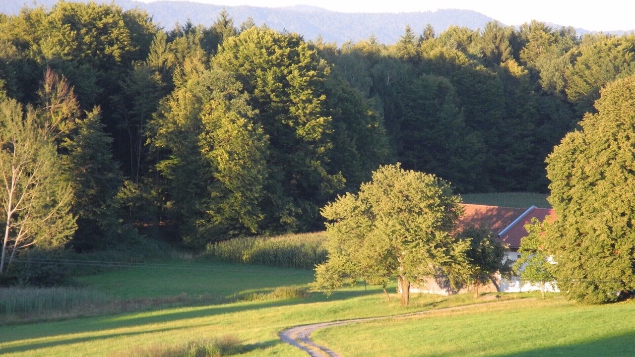 Photo of Others in Schaufling