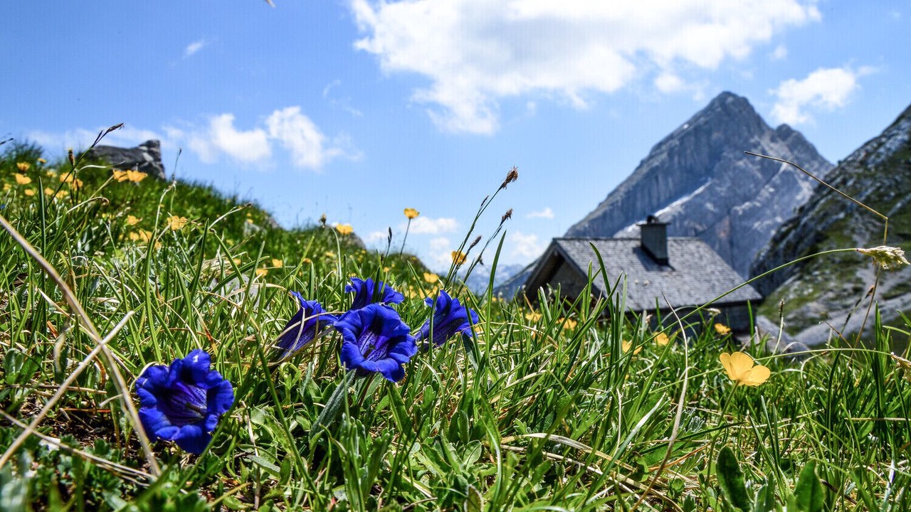 Photo of Outdoor in Oberschonau