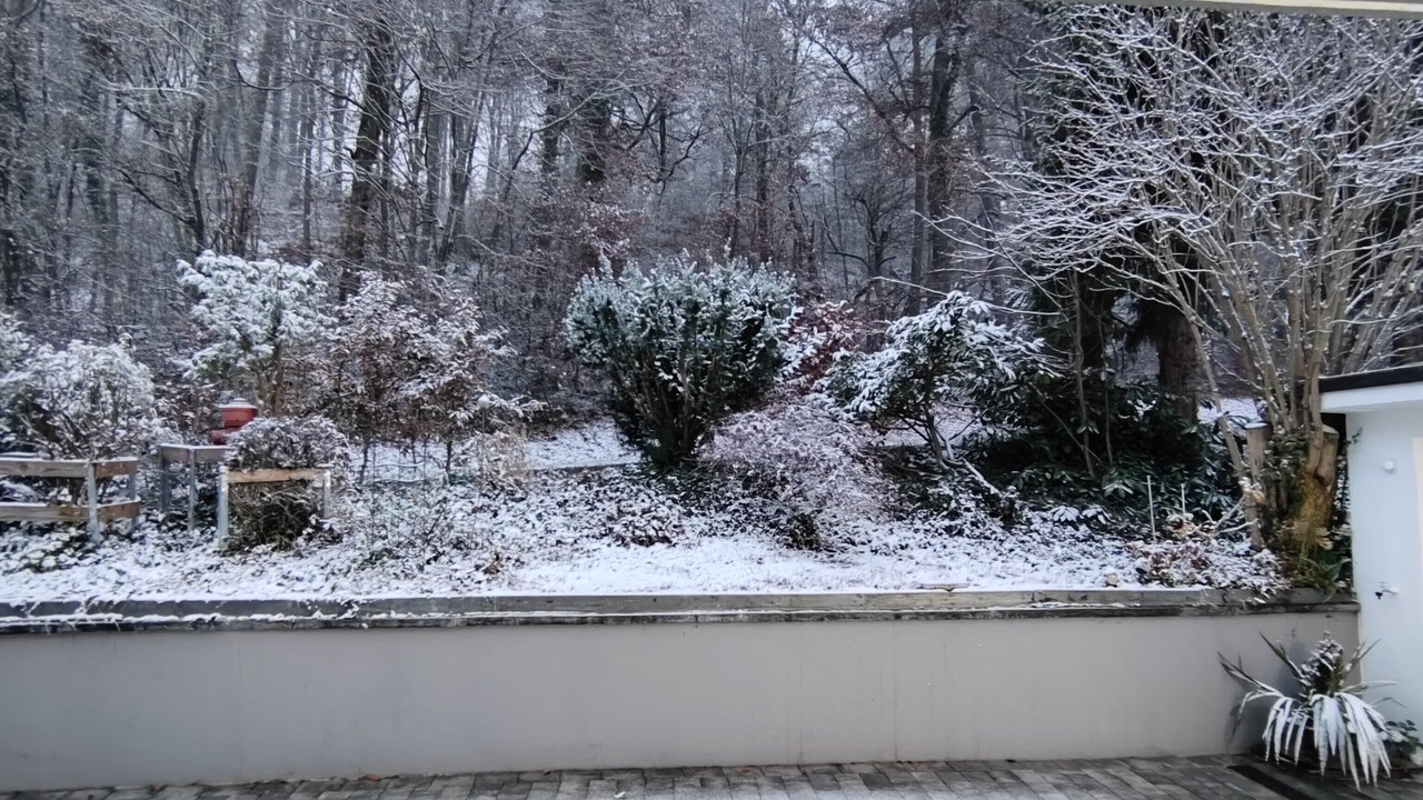 Photo of Outdoor in Waldshut-Tiengen