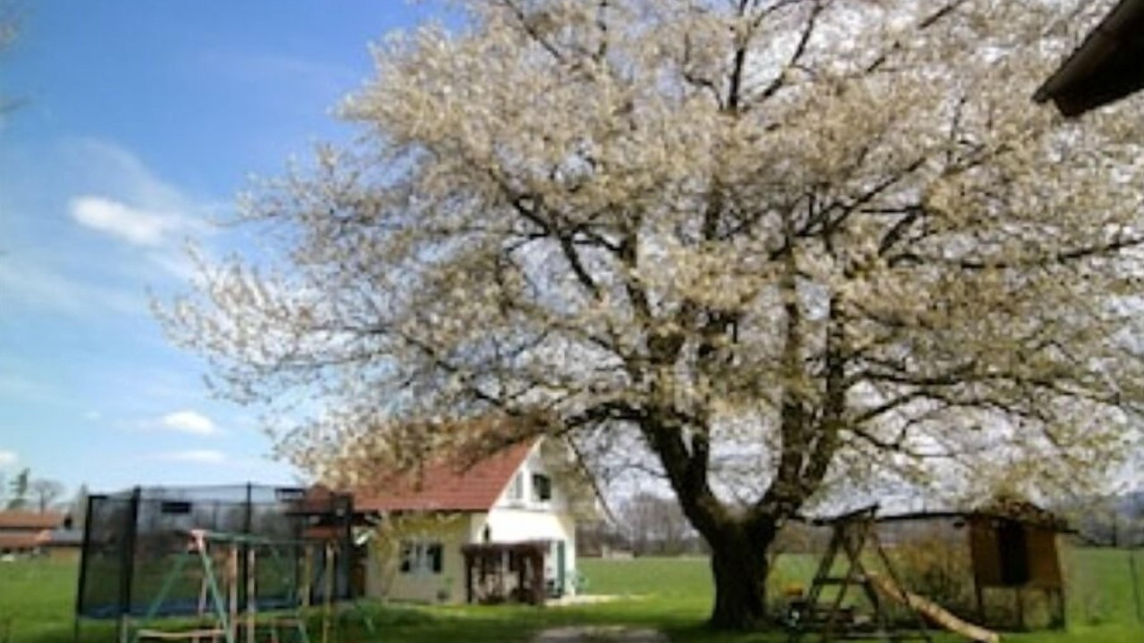 Photo of Others in Luft