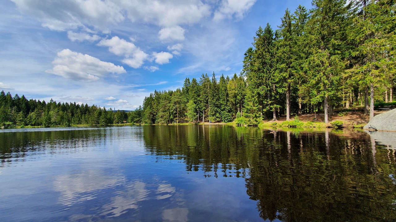 Photo of Others in Fichtelberg