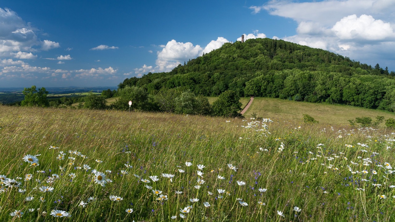 Photo of Outdoor in Waldidylle
