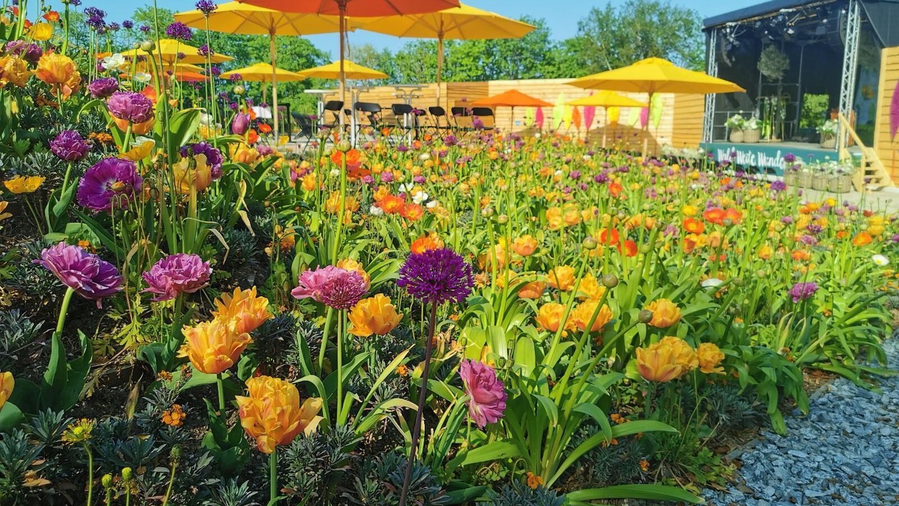 Photo of Outdoor in Geyersberg
