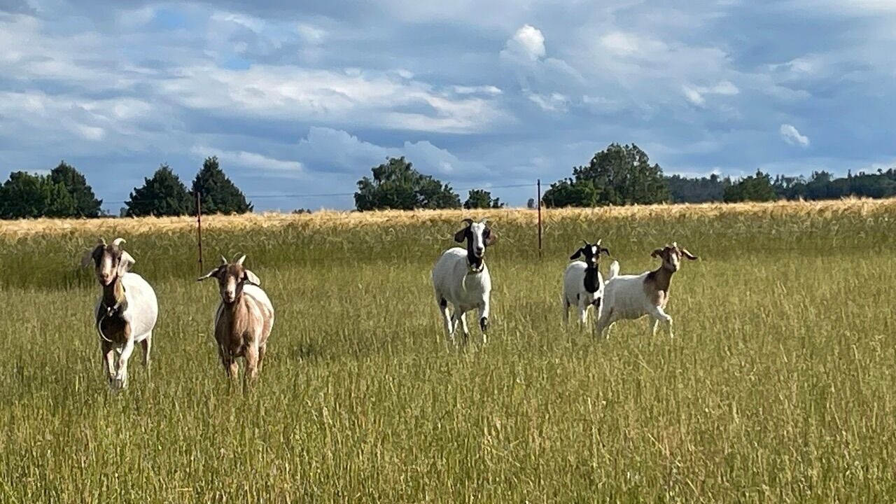 Photo of Others in Doberschau