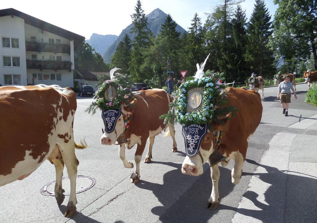 Photo of Others in Eben am Achensee