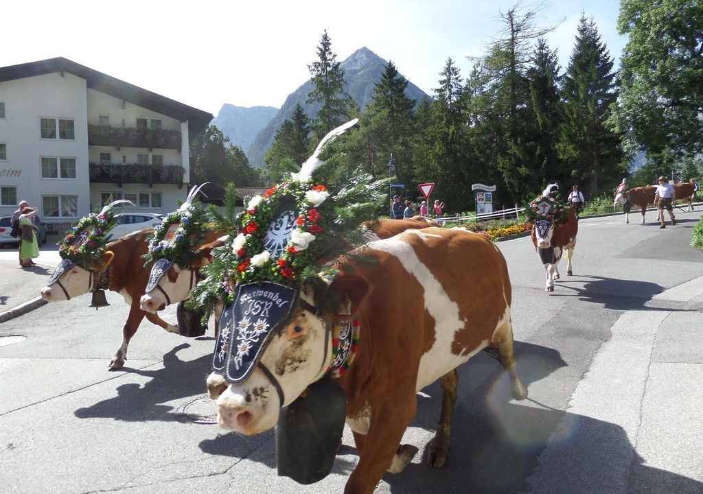 Photo of Others in Eben am Achensee