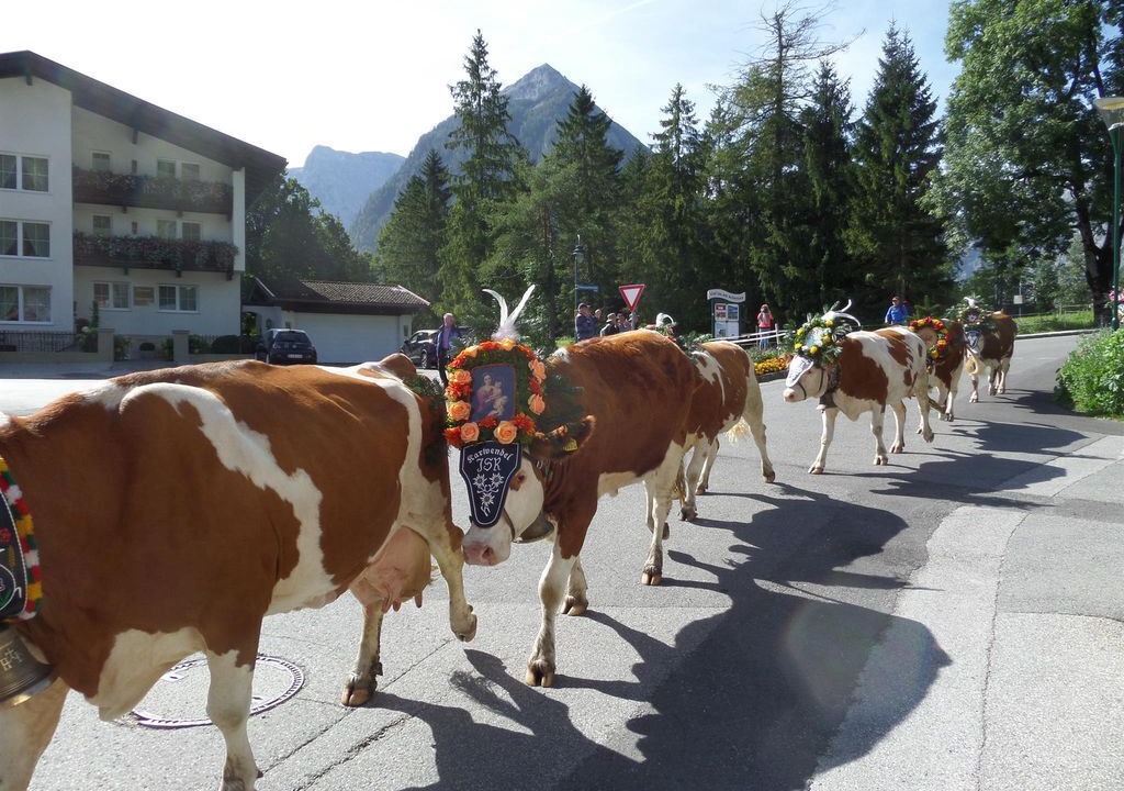Photo of Others in Eben am Achensee