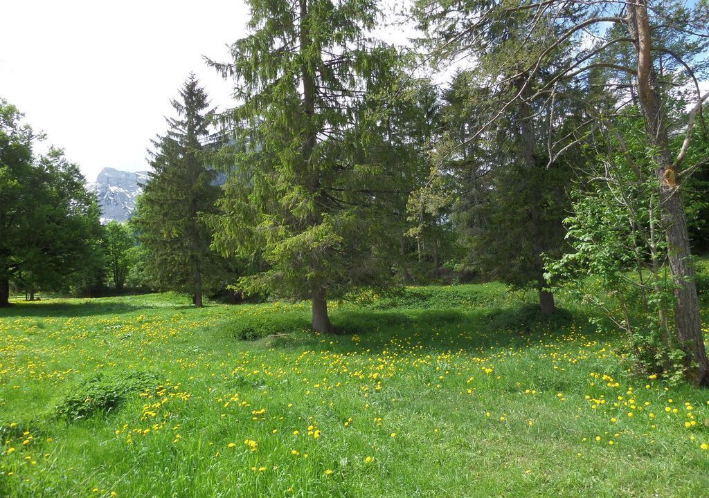 Photo of Others in Eben am Achensee