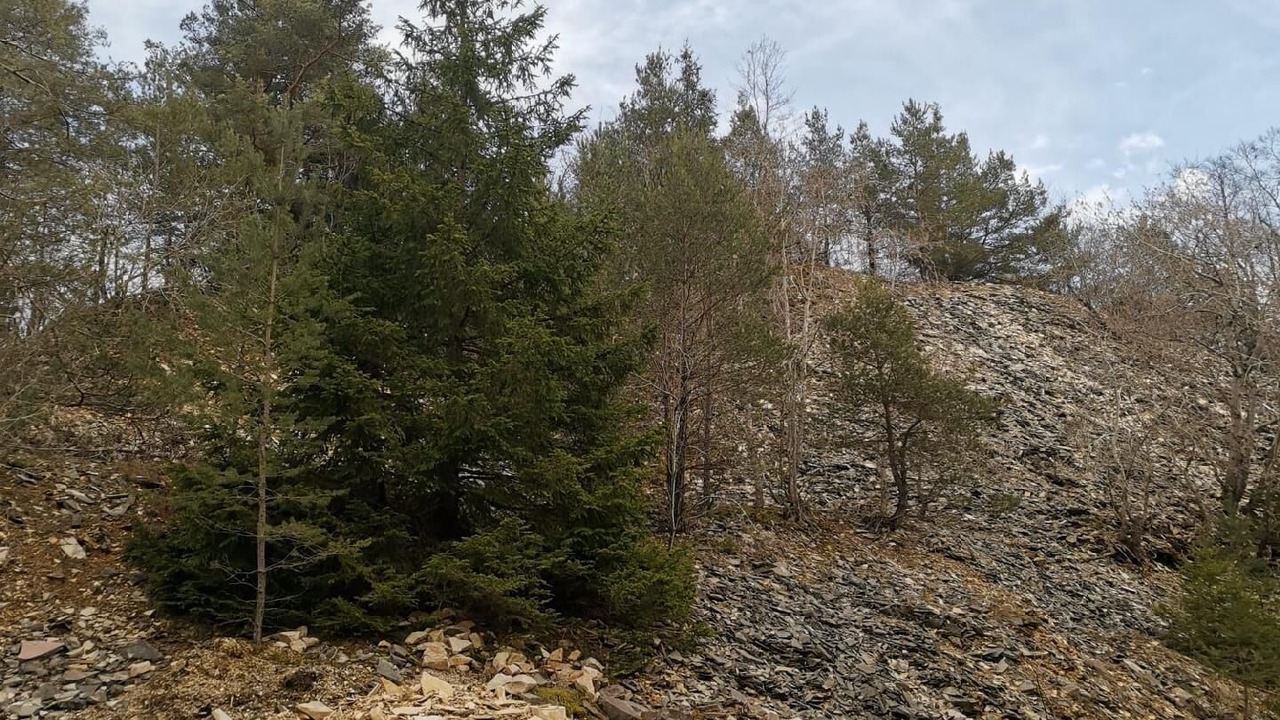Photo of Outdoor in Solnhofen