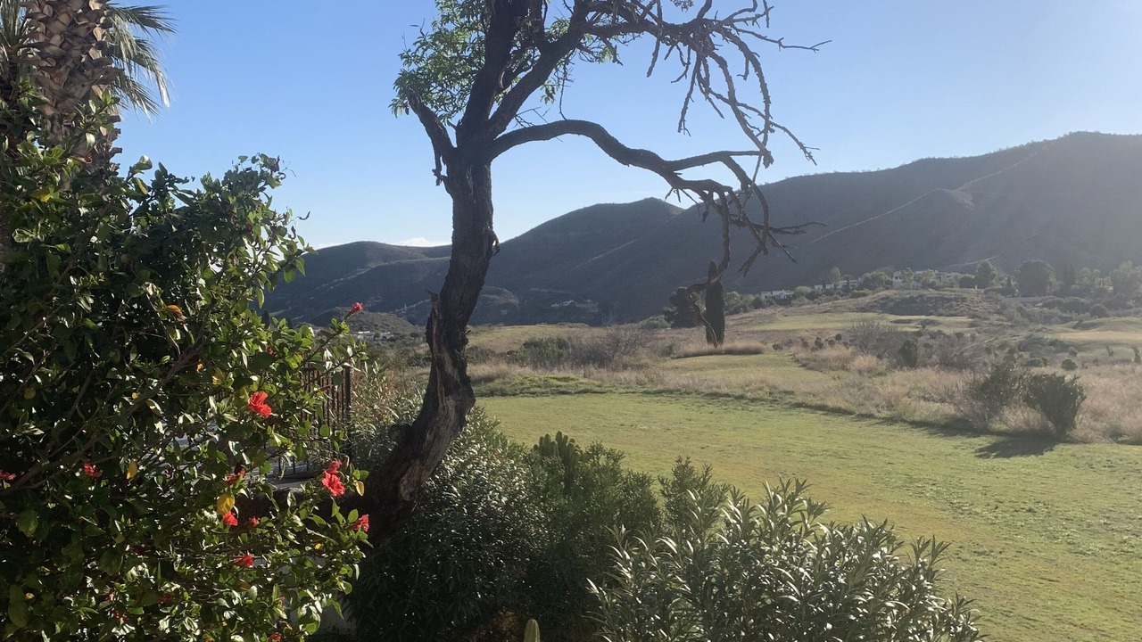 Photo of Outdoor in Turre