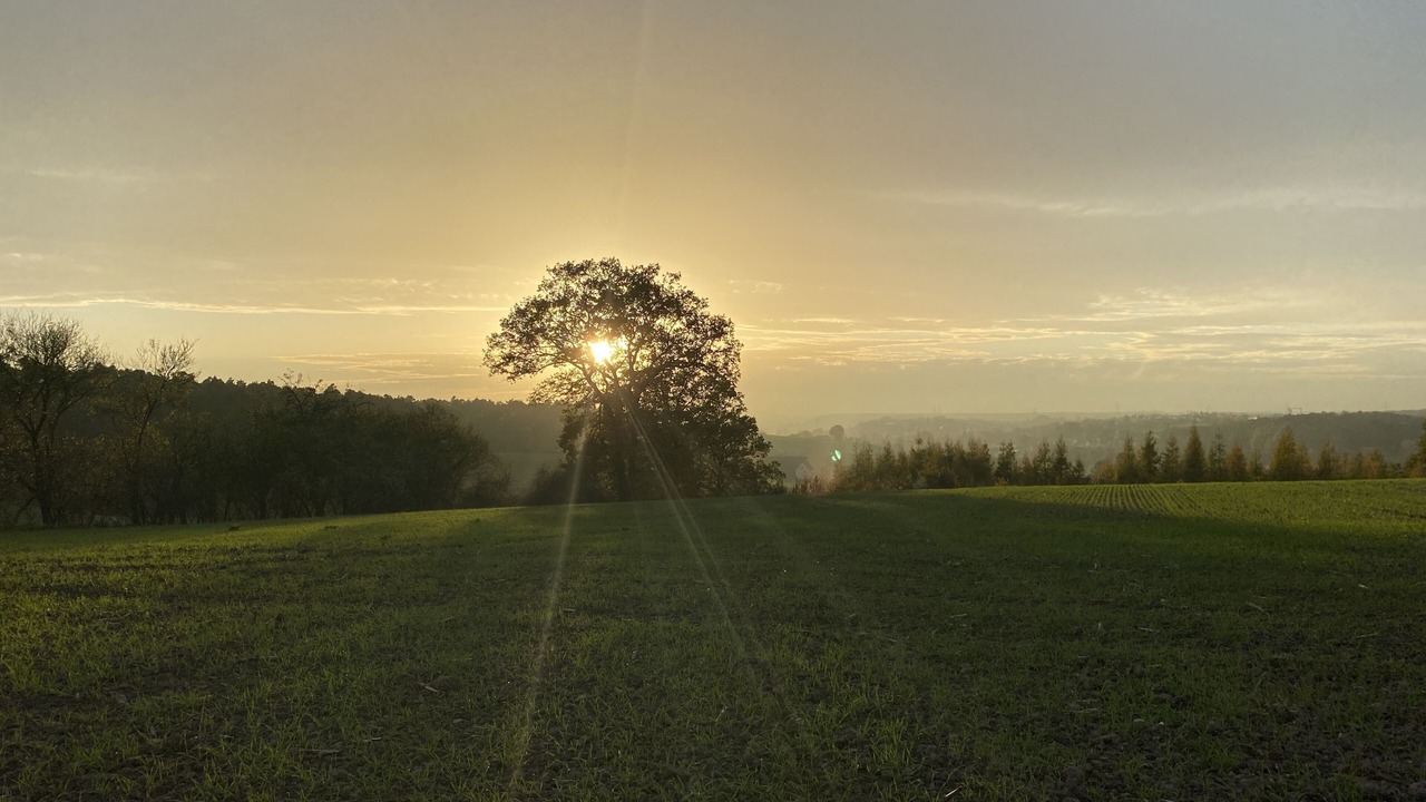 Photo of Others in Langenzenn