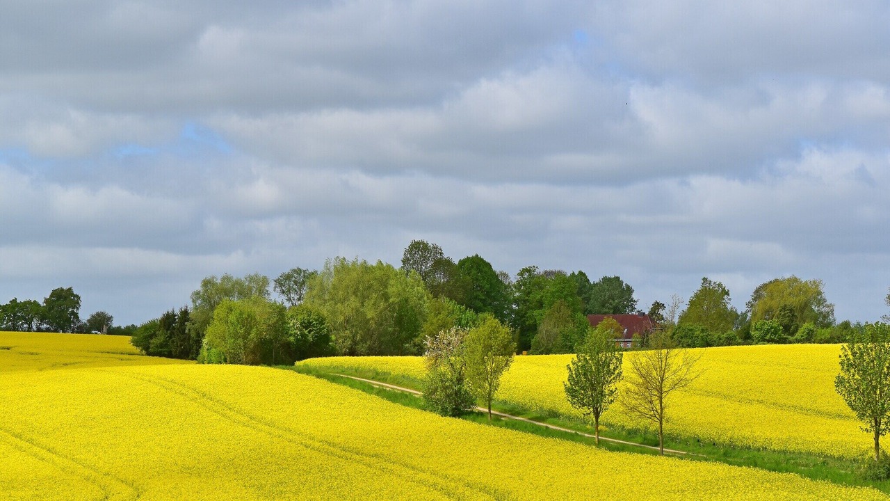Photo of Others in Metelsdorf