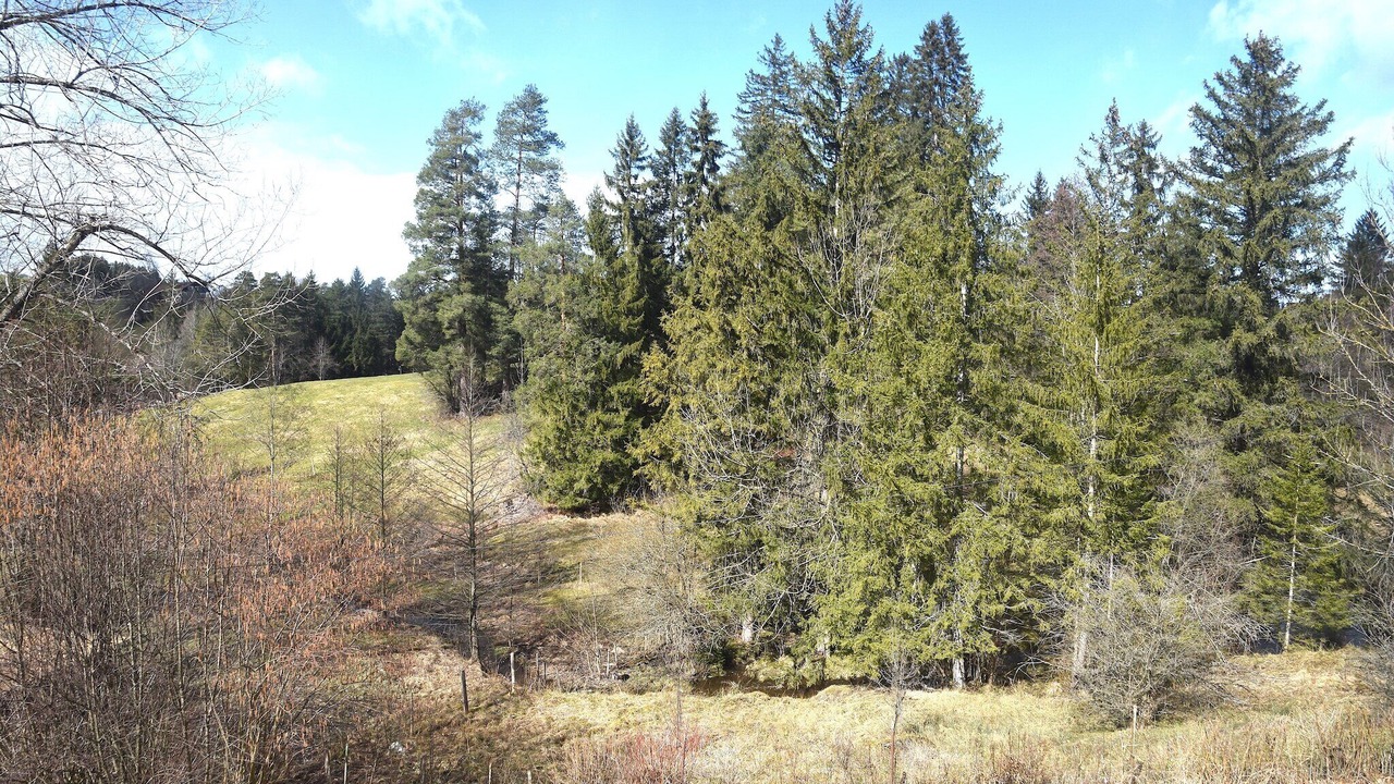 Photo of Others in Schwarzenbach