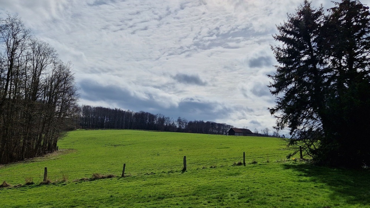 Photo of Outdoor in Moehnesee