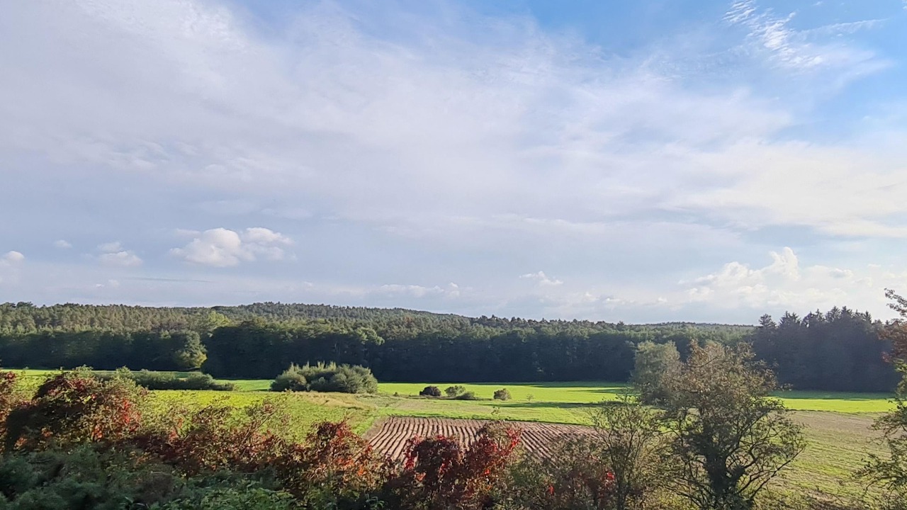 Photo of Outdoor in Roth