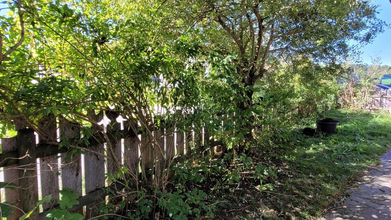 Photo of Outdoor in Peiting