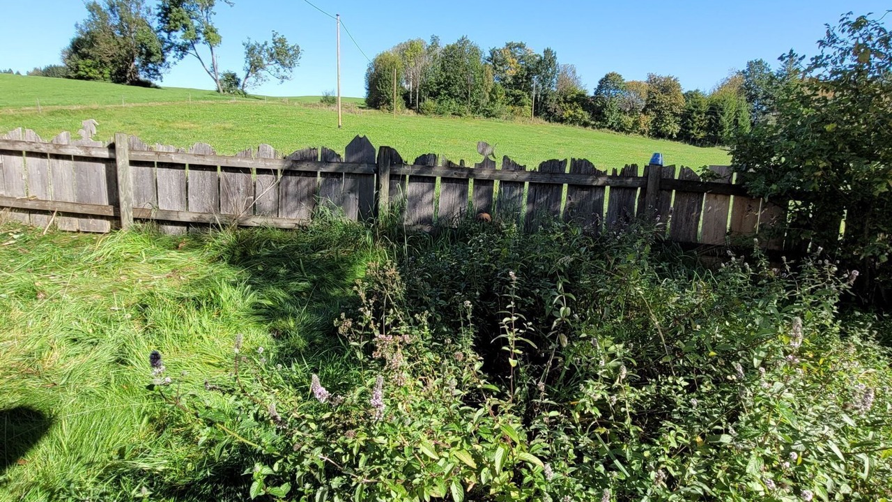Photo of Outdoor in Peiting