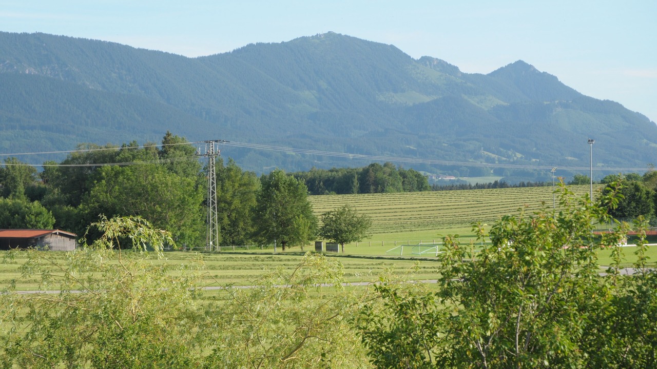 Photo of Others in Riedering