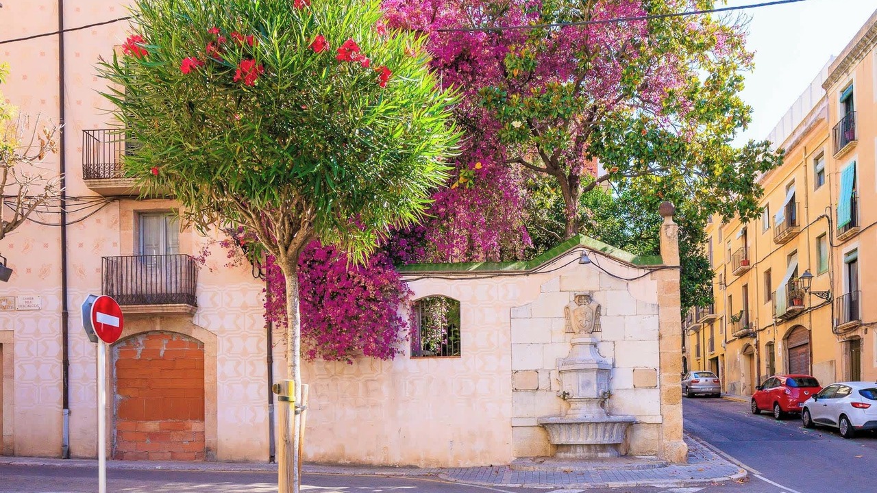 Photo of Outdoor in Old Town
