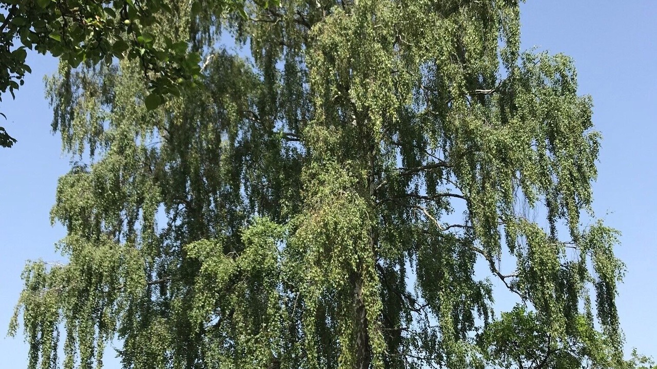 Photo of Outdoor in Zeitlofs