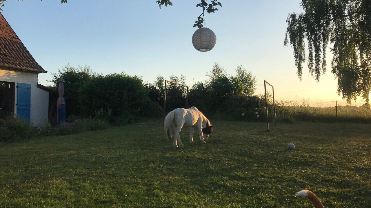 Photo of Outdoor in Zeitlofs