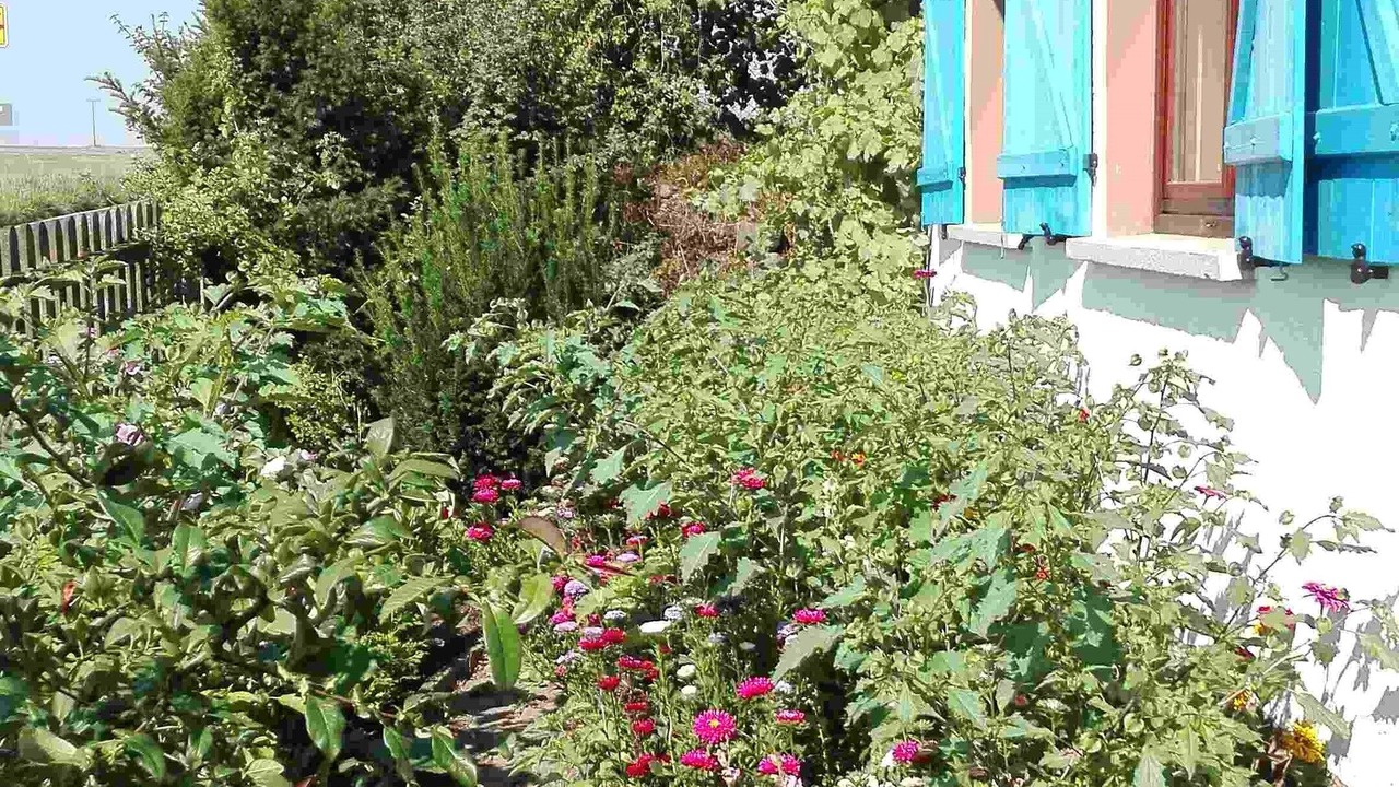 Photo of Outdoor in Zeitlofs