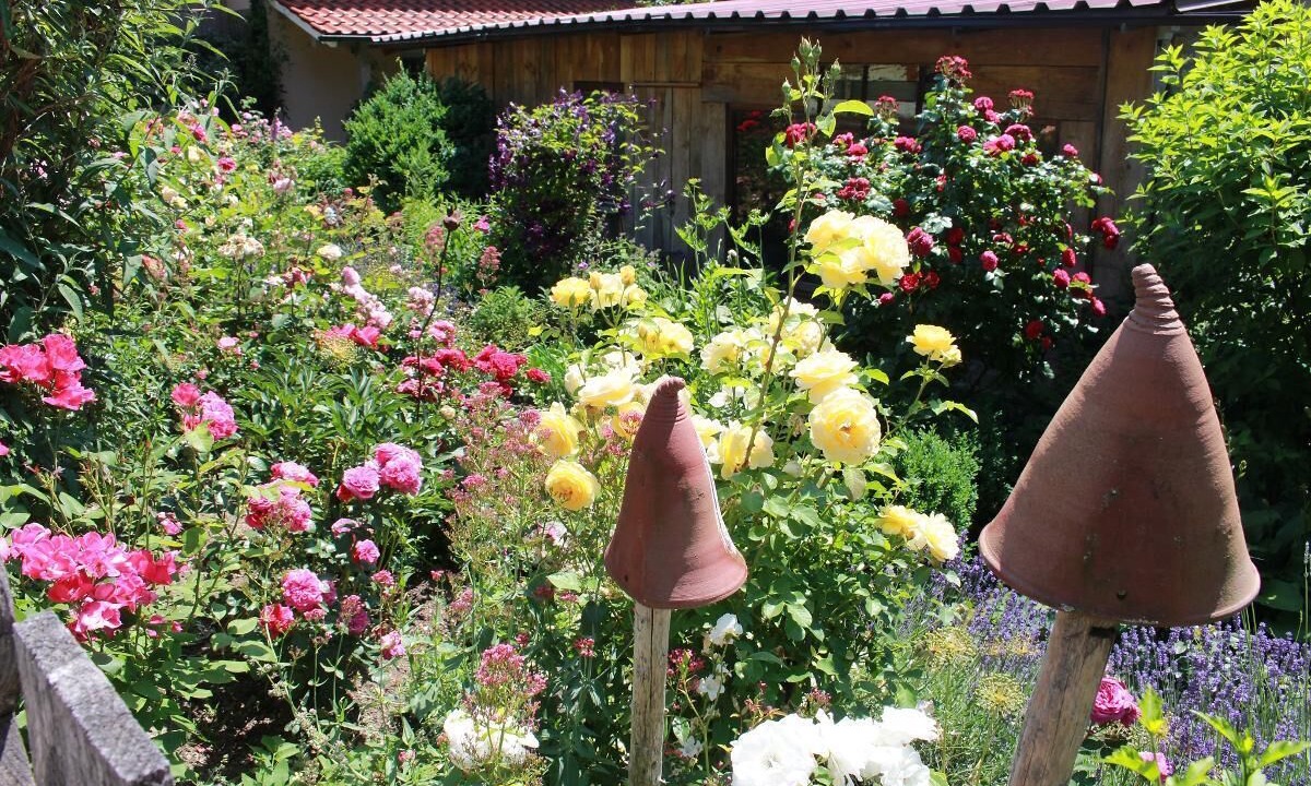 Photo of Outdoor in Schoenberg