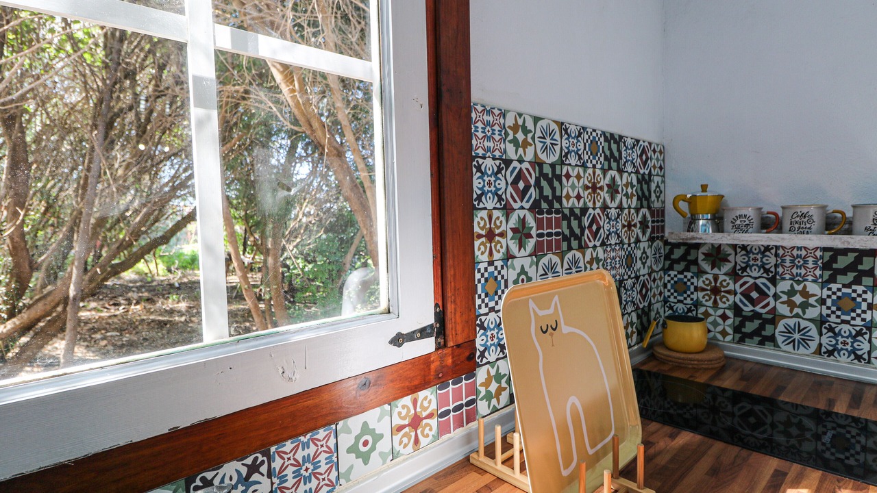 Photo of Others in Santa Maria de Guia de Gran Canaria
