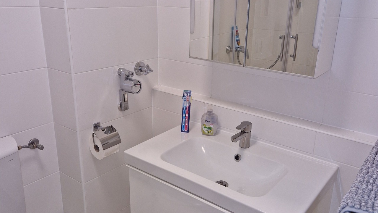 Photo of Bathroom in Dachau District